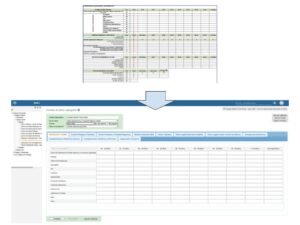 Desde una hoja de calculo hacía un formulario estructurado de DHIS2